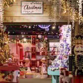 One of the Christmas displays at Gates Garden Centre, at Cold Overton