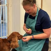 Anna Foster, who has created a Melton Mowbray dog-friendly map