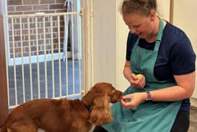Anna Foster, who has created a Melton Mowbray dog-friendly map