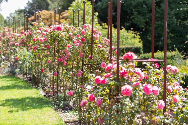 The gardens at Belvoir Castle