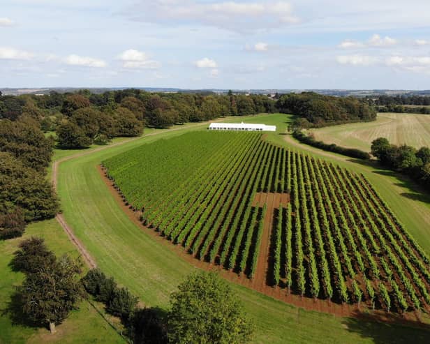 An aerial view of the vineyard at Belvoir Castle
