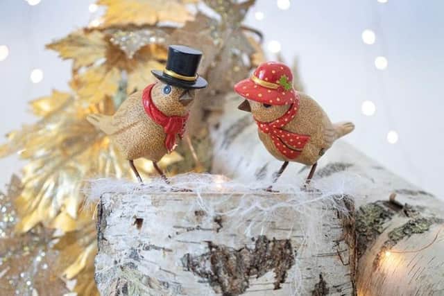 These Duckensian Birds are the perfect Christmas present!