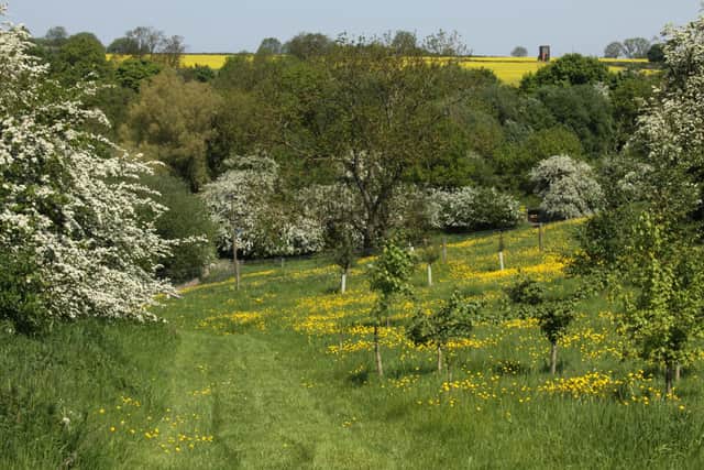 The beautiful Holwell Nature ReserveIMAGE: Peter Dawson