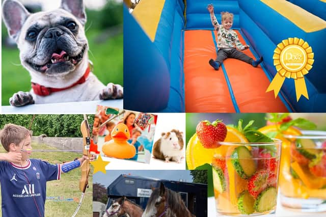 Scenes from a previous Dove Cottage Day Hospice fun day and dog show