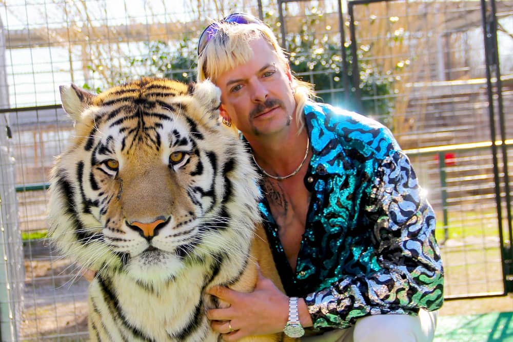 Tiger King. In short, Joe Exotic doesn't like Carole Baskin.