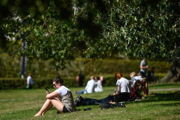People enjoying a park on a warm day.