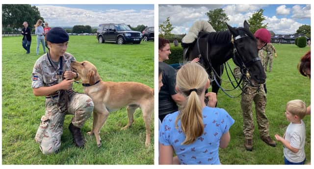 Images from the last open day at the Defence Animal Training Regiment HQ, at Melton, in the summer of 2023