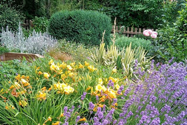 January is a time to get your garden ready to look good in the summer