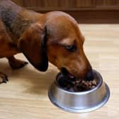 Premium dog food is less than half price thanks to Amazon’s latest sale event