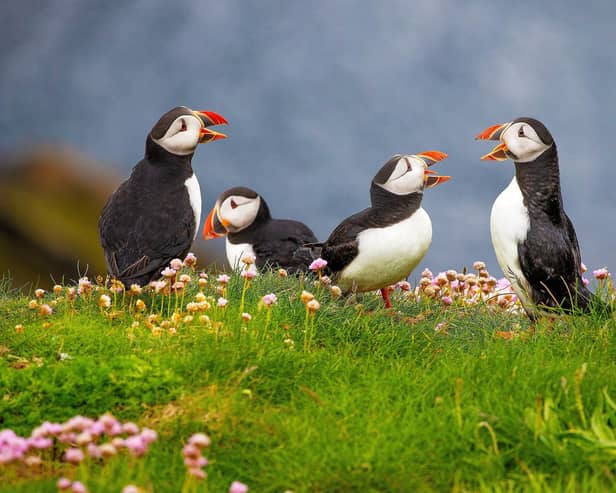 A new survey has revealed 48 per cent of people in the East Midlands are unsure where to spot different animals.