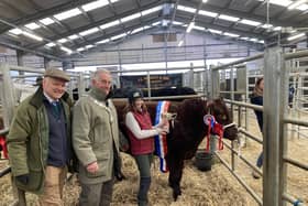 11-year-old Isabel Stephen with her winner in the The Best Beast Shown by a Young Handler at the 2023 Melton Christmas Fatstock Show, with Mayor Alan Hewson and Hugh Brown (MBAS)