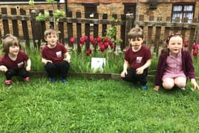 Somerby pupils see tulips flower for fallen wartime paratroopers
