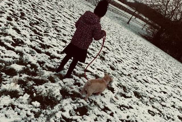 Sara Wilson-Wright took this photo of her six-year-old daughter, Isabelle, walking their dog Mitzi in the snow in Melton early this morning