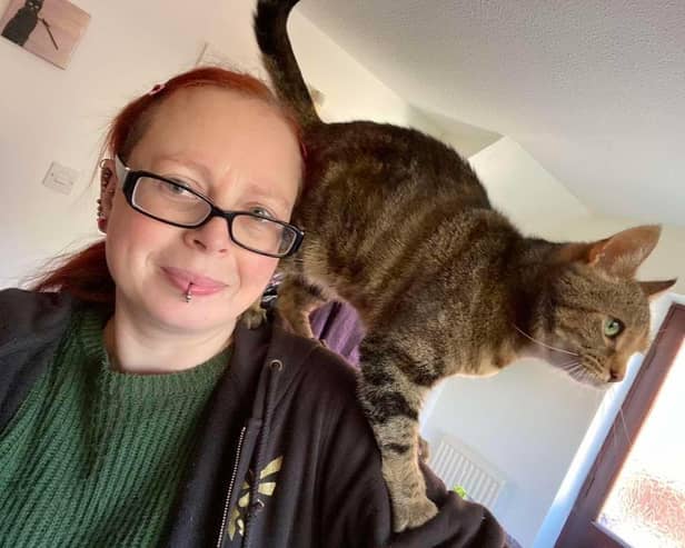 Katie Gwilt is issuing this expert advice to cat owners - Animal News Agency