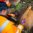 Severn Trent team clearing a blockage