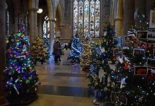 Twinkling trees everywhere in the 2022 Melton Mowbray Christmas tree festival