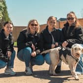 Members of the Allison Homes East Midlands team volunteering at RSPCA Woodside in Leicester