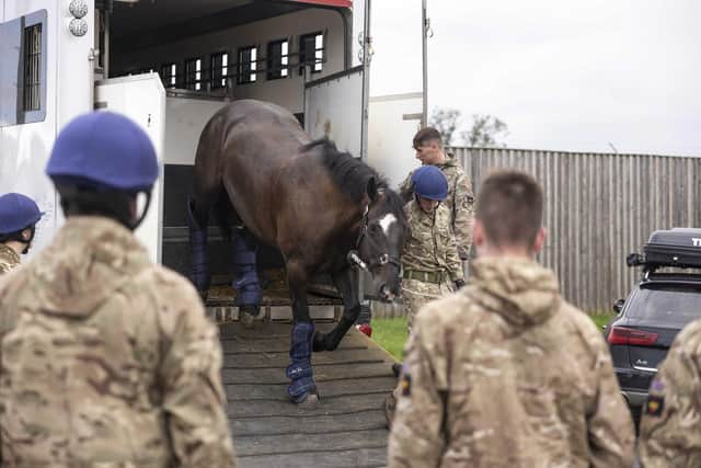 Military horses arrive from London and are led out of the horseboxes at the Melton base