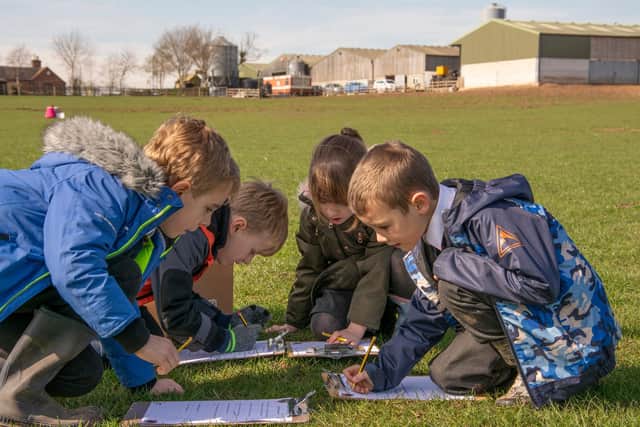 Pupils also get out on farm with NFU Education.