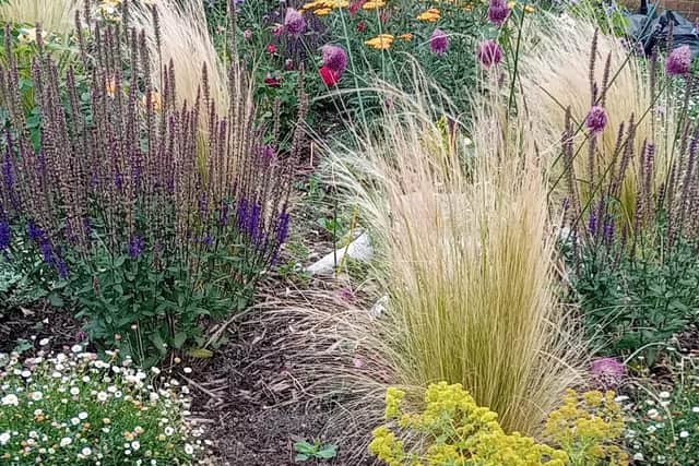 The flowering Dry Bed nurtured by the volunteers of Melton In Bloom