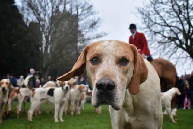 The traditional Melton New Year hunt meet when it was held at the Play Close