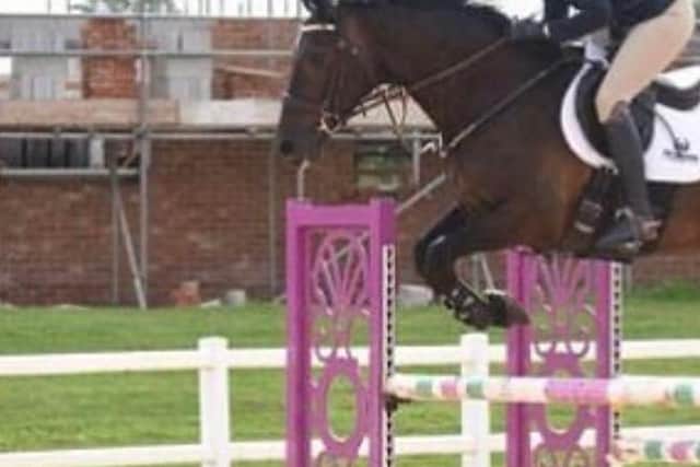 Thieves steal showjumping equipment from Vale View Equestrian - one of the jumps taken