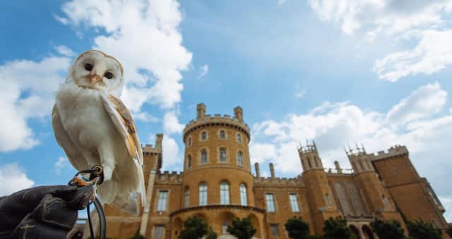 Percil, Belvoir Castle's barn owl, which has sadly passed away