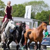 The Burghley Game & Country Fair