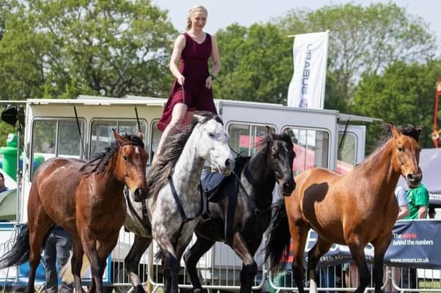 The Burghley Game & Country Fair