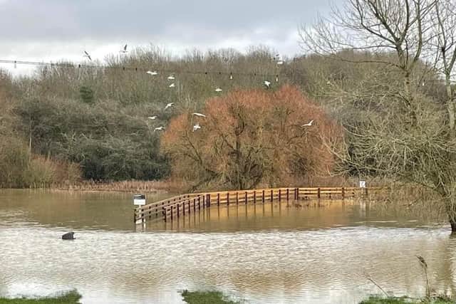 Deep floods at Melton Country Park - a waste bin is almost completely submerged