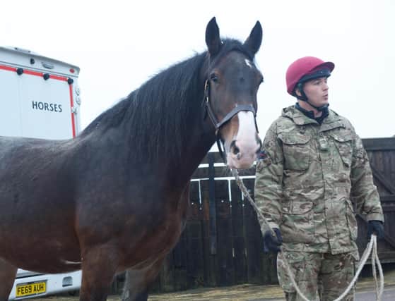 Military ceremonial horses enjoy winter break in Melton Mowbray