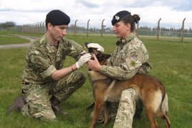 RAVC service personnel with a military working dog