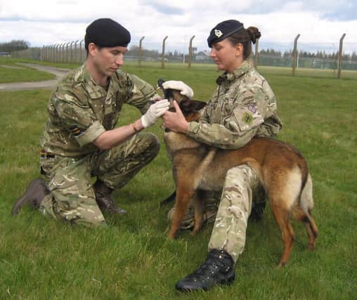 RAVC service personnel with a military working dog
