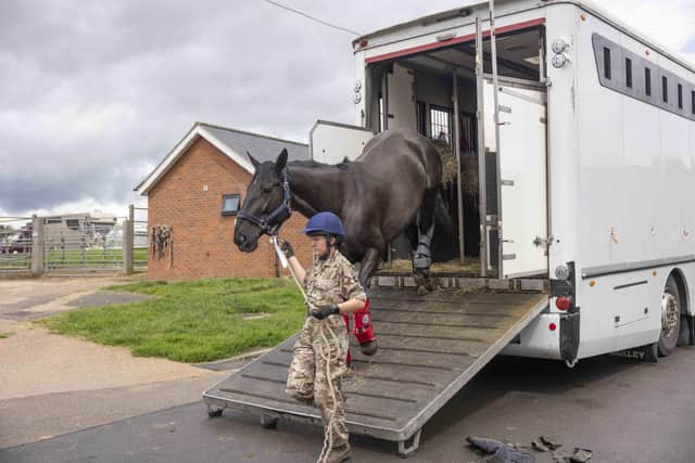 Military horses arrive at Melton's DATR base for the summer