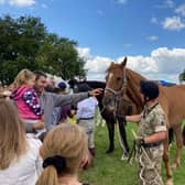 Visitors getting close to a military working horse at the 2023 DATR open day in Melton