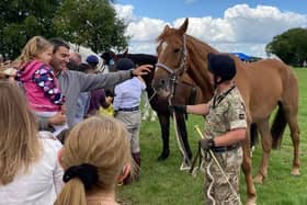 Visitors getting close to a military working horse at the 2023 DATR open day in Melton
