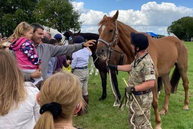 Visitors getting close to a military working horse at the 2023 DATR open day in Melton