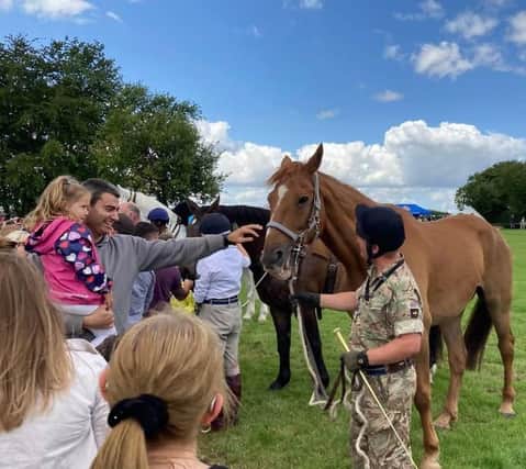 Visitors getting close to a military working horse at the 2023 DATR open day in Melton