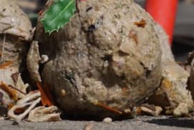Severn Trent festive fatball