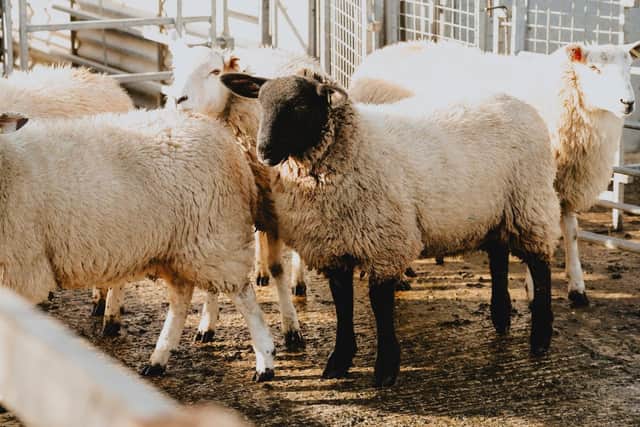 Farming courses at Brooksby campus