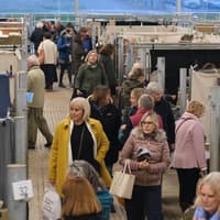 Dozens of ceramic artists to show off their wares at Melton Mowbray event