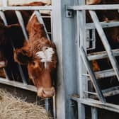 Farming courses at the Brooksby campus