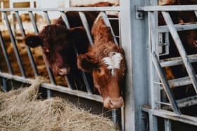 Farming courses at the Brooksby campus