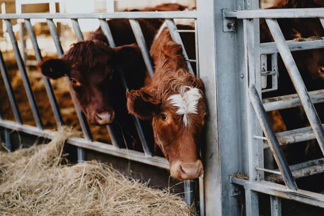 Farming courses at the Brooksby campus