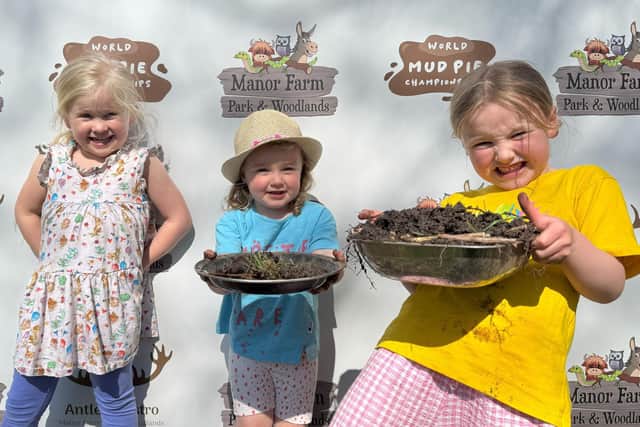 Mud pies