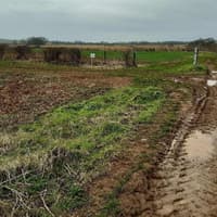 Melton village footpath change shot down by councillors after claims there was ‘no real evidence’