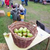 Can you supply apples for a special Melton event