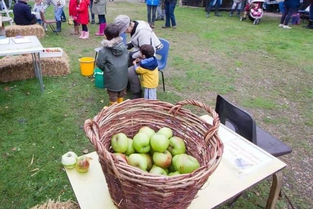 Can you supply apples for a special Melton event