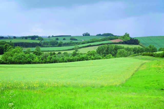 The manifesto calls for food production targets to be set