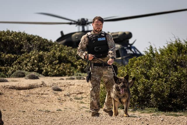 The RAF Police Military Working Dog Section on a training operation overseas